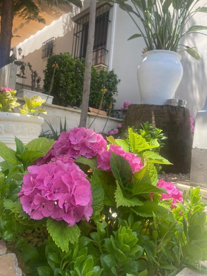 Casa Los Encinares Cordova Esterno foto